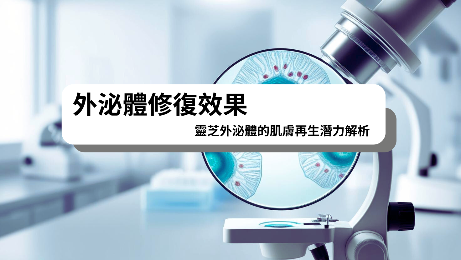 靈芝外泌體修復效果實驗數據圖,展示細胞癒合進展與修復作用,佐證外泌體於肌膚再生保養中的高活性與高安全性應用