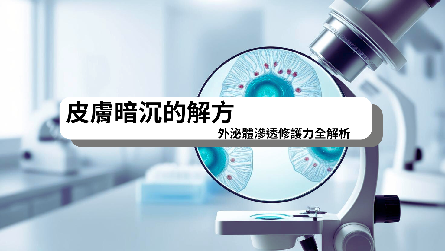 女性膚色暗沉對照圖,結合細胞修復示意與外泌體滲透原理,強調從肌底改善膚況、提亮肌膚的科學保養解方