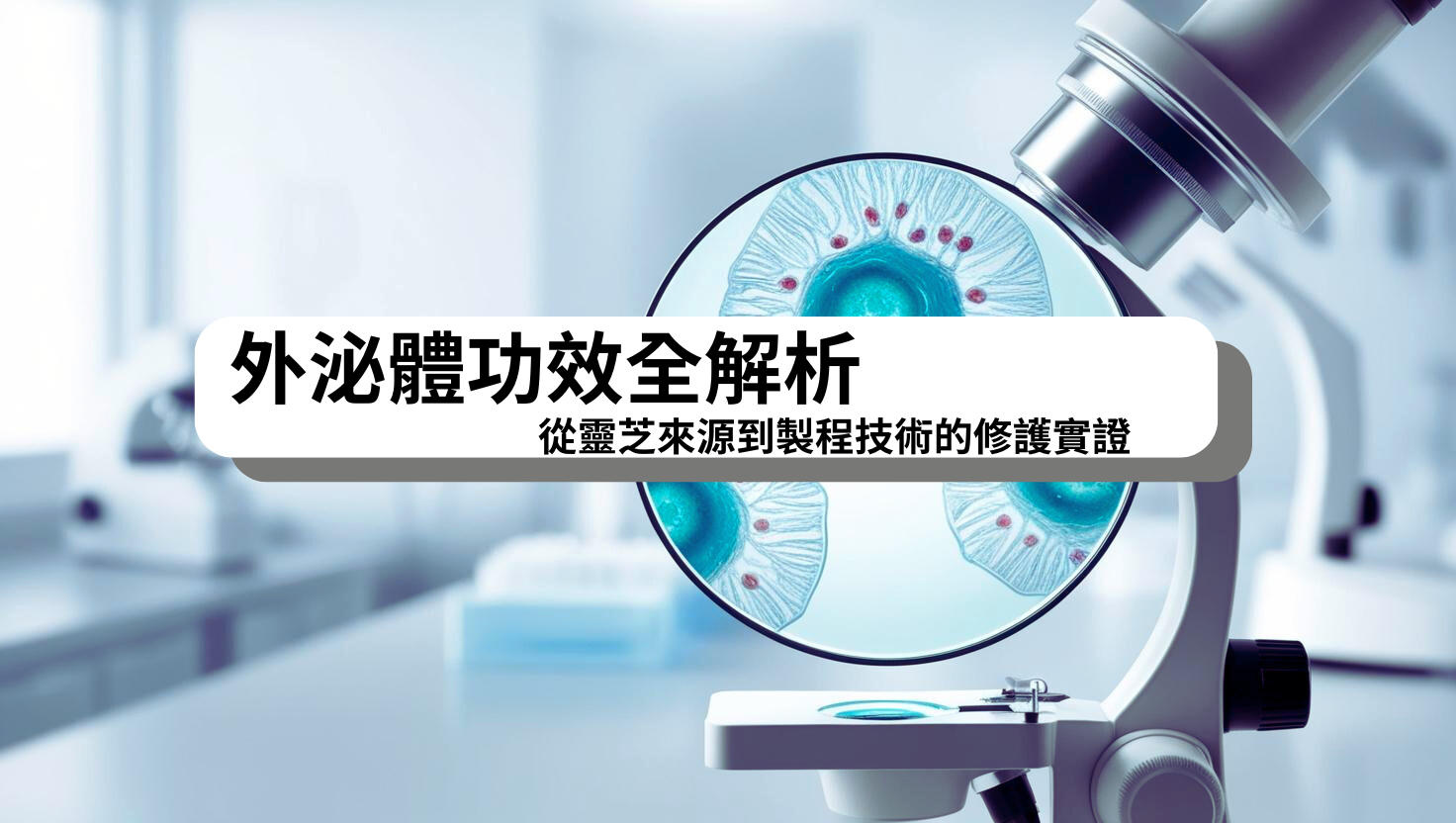 顯示外泌體與肌膚細胞互動的科學示意圖，強調靈芝來源外泌體在修護、抗老與抗炎方面的功效與製程優勢