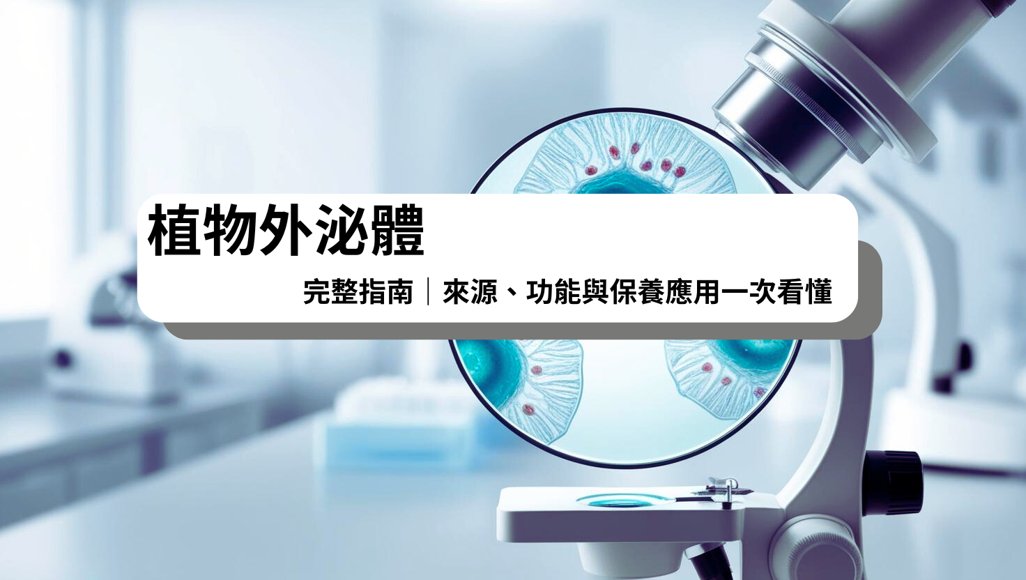 靈芝為代表的植物外泌體與細胞傳訊機制,展現天然修復與抗老功效